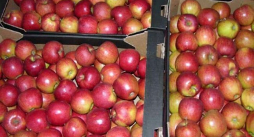 Recept na výrobu suchého jablečného džemu v troubě doma